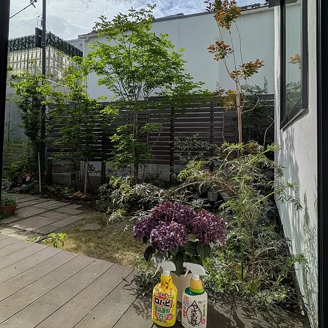 nolleyさんの実例写真