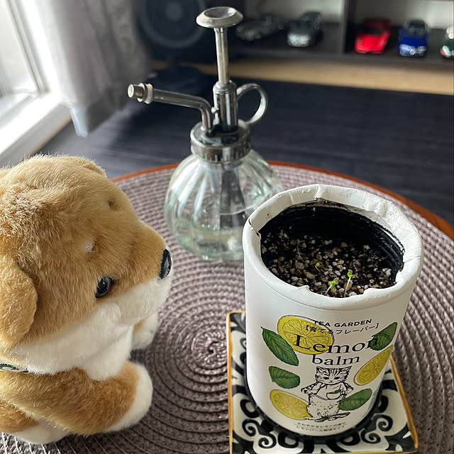 aureaさんの実例写真