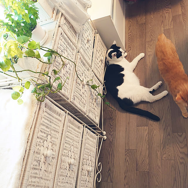 asuminさんの実例写真