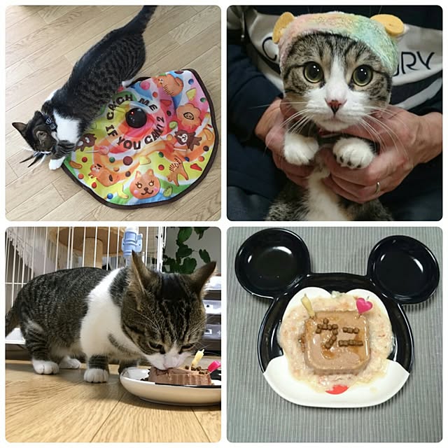 fukusukeさんの実例写真