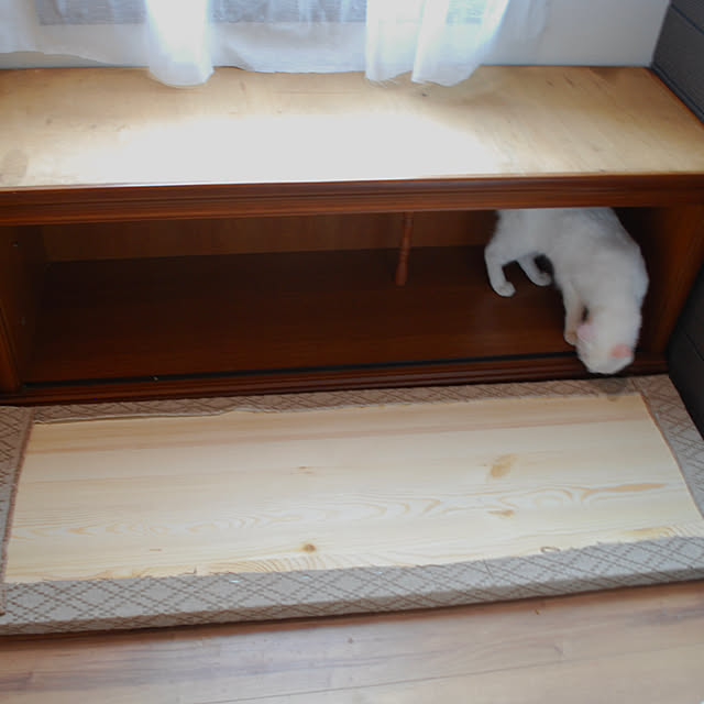 Yukinekoさんの部屋