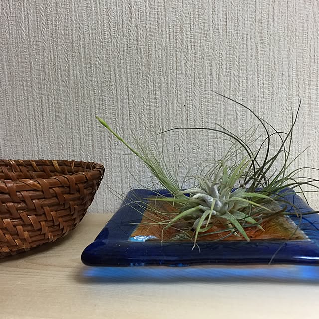 haruさんの実例写真
