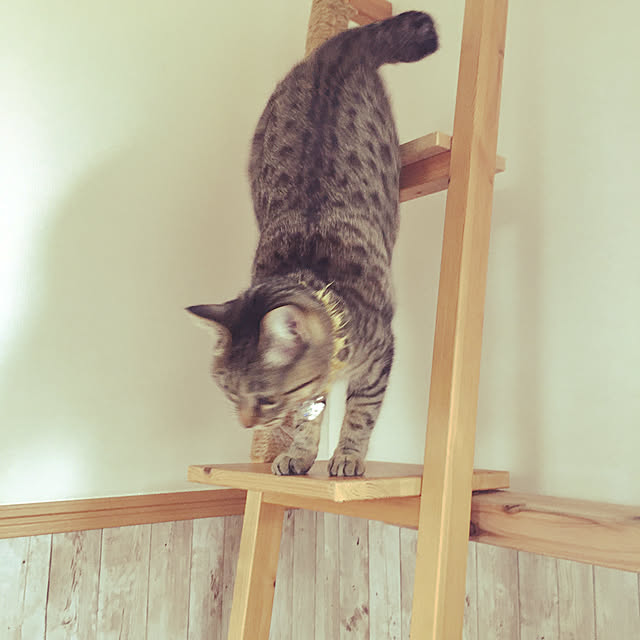 Mさんの実例写真