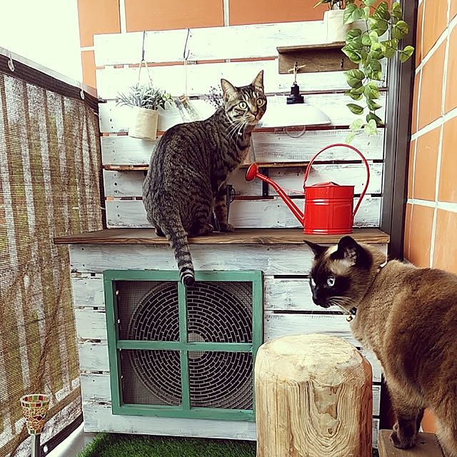 mizuさんの実例写真