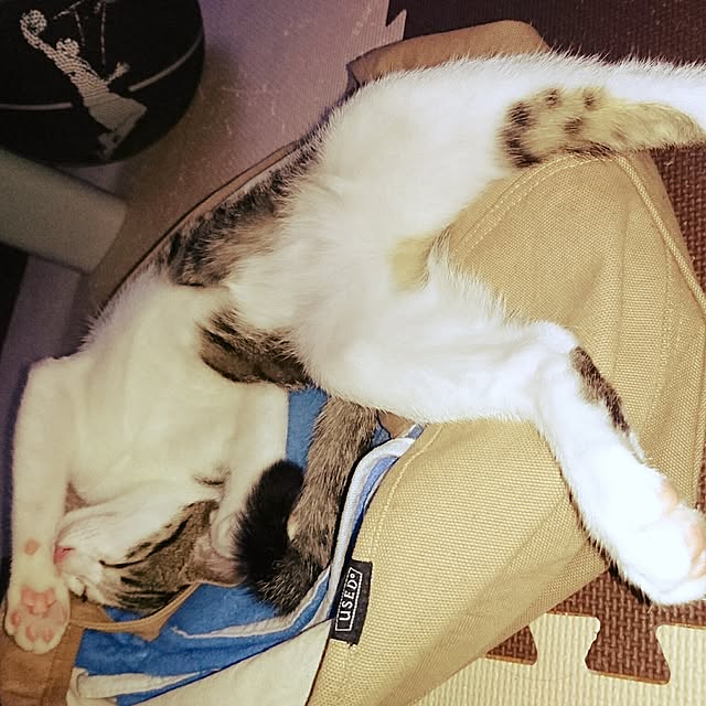 kiraさんの実例写真