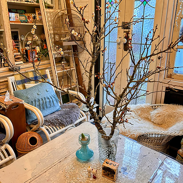 akaidarumaさんの部屋