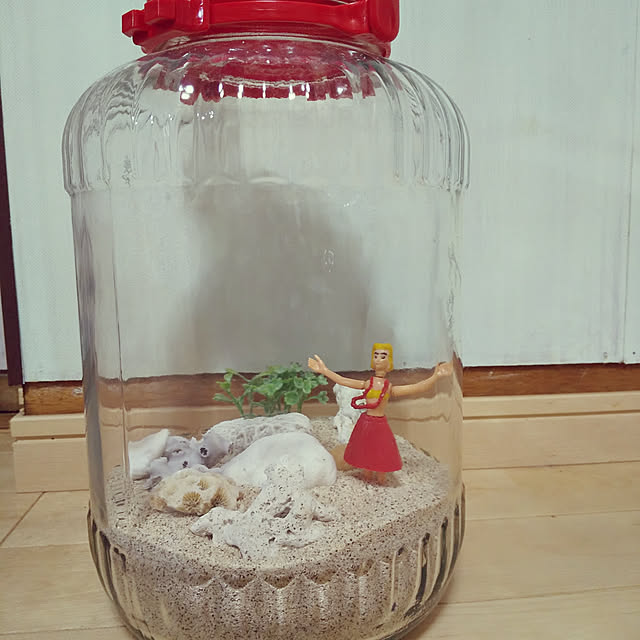 玄関/入り口/DIY/多肉植物/観葉植物/セリア...などのインテリア実例 - 2020-06-17 13:04:48