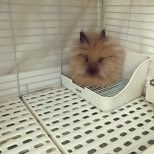 mさんの実例写真