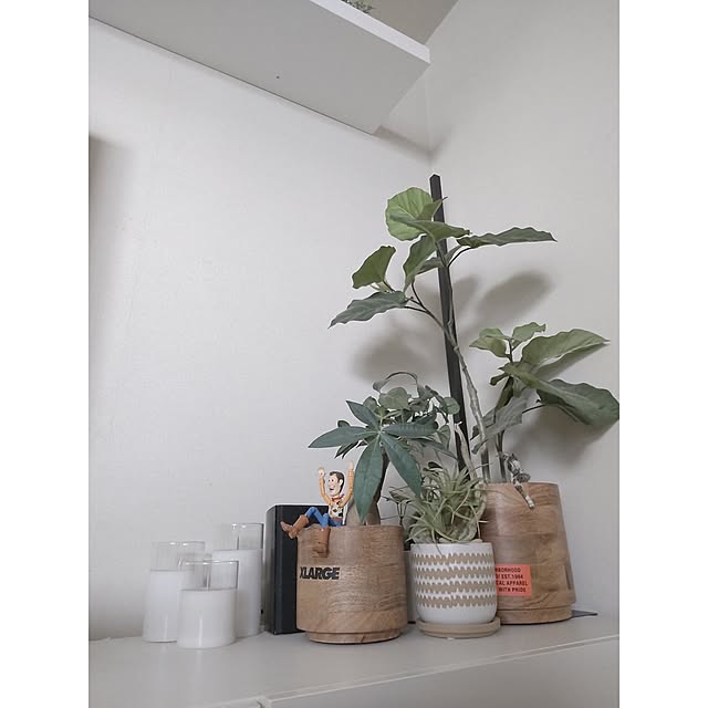 ichan15uさんの部屋