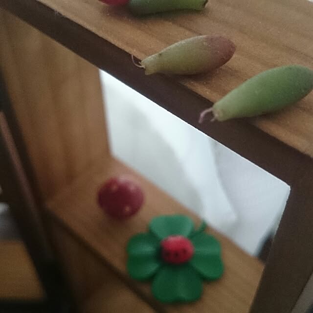 Sayakaさんの実例写真