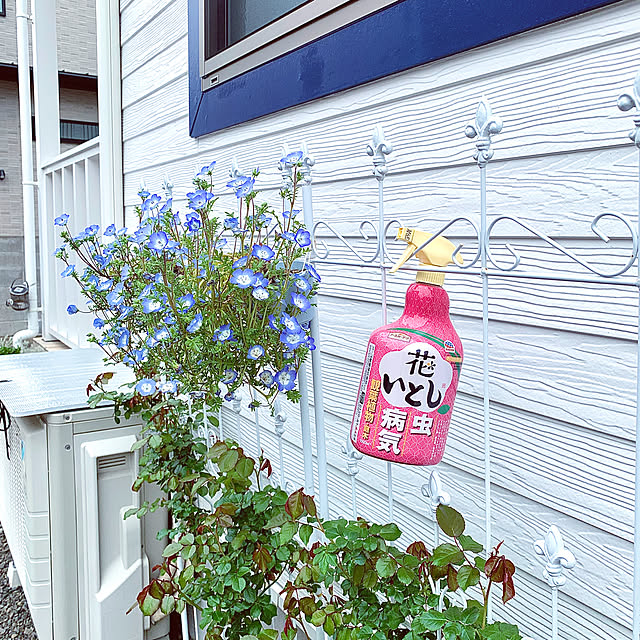 koko_hikaさんの実例写真