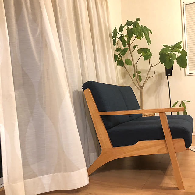 Kisaさんの実例写真