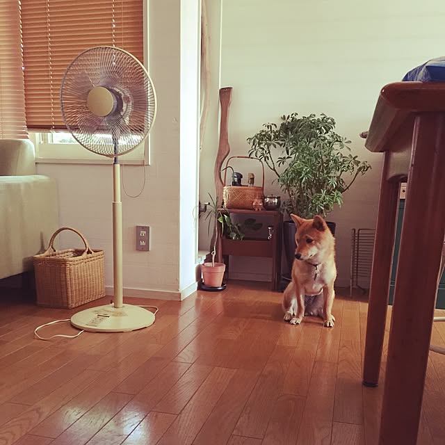 botannさんの実例写真