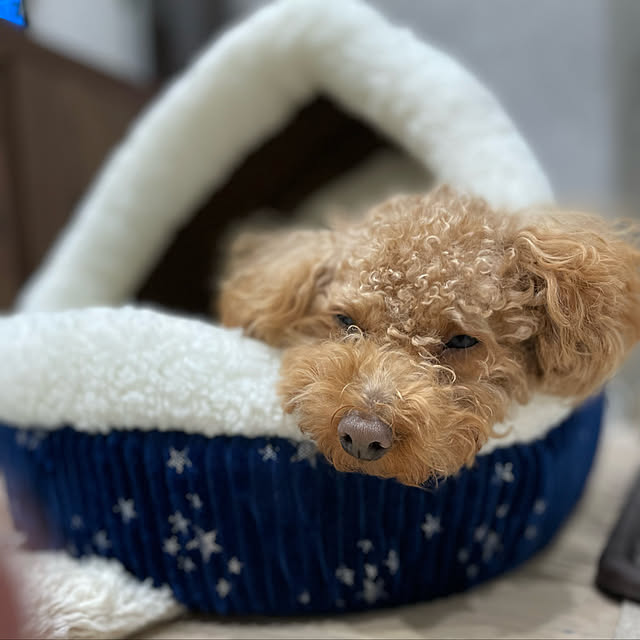 hidex_homeさんの実例写真