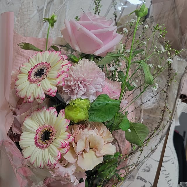 ANTENNAさんの部屋