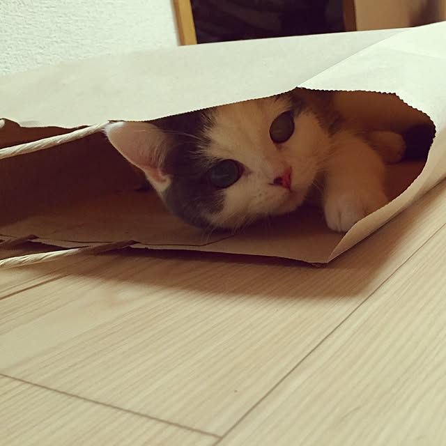 yunさんの実例写真