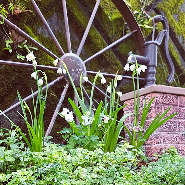 mocomocoさんの部屋