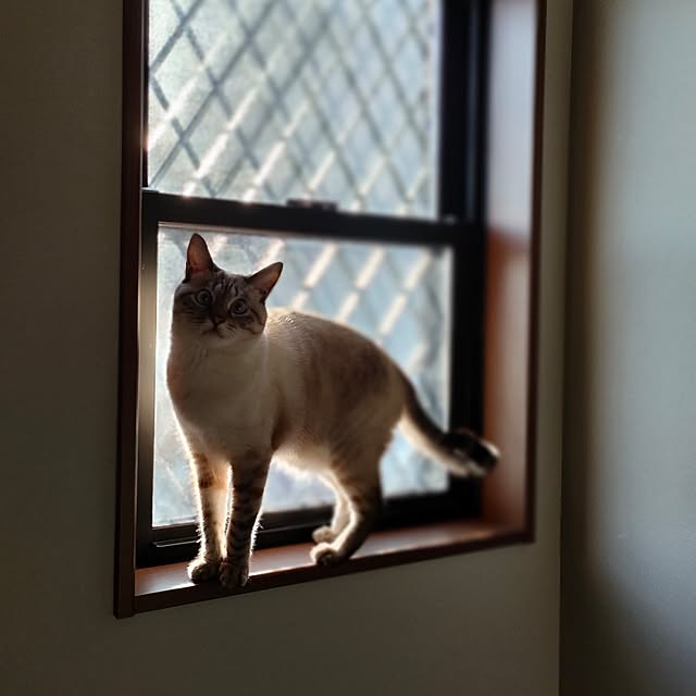 Atelier_tamakiさんの部屋