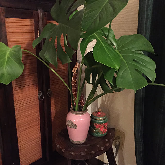 chiliさんの実例写真