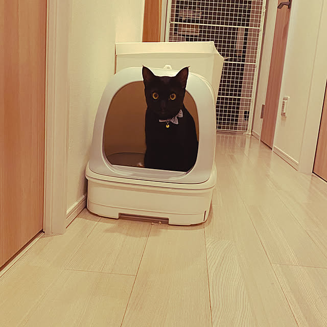 naturalさんの実例写真