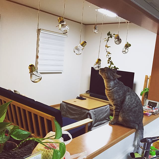 mokkosuさんの実例写真