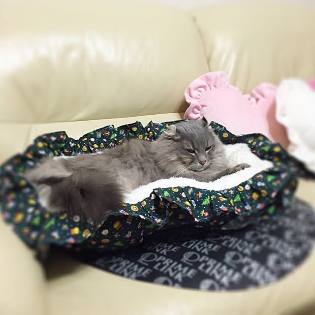 may10さんの実例写真