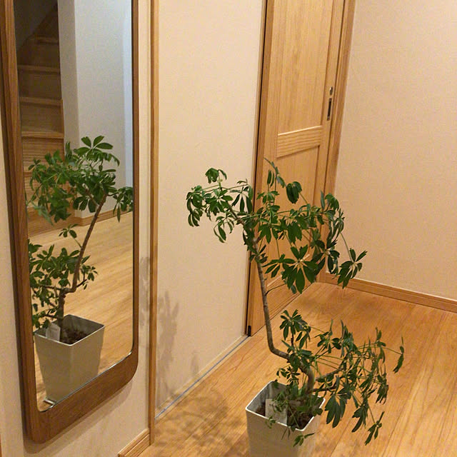 minikoさんの実例写真