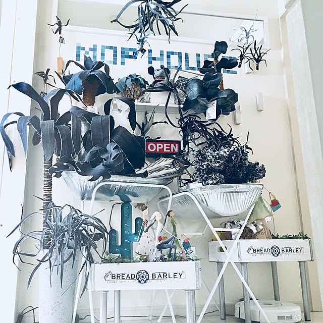 Mopmamaさんの実例写真