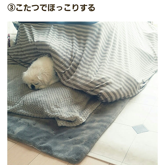 yukagomaさんの実例写真
