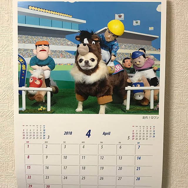 壁/天井/競馬場/馬の着ぐるみ/カレンダー2018/チワワのインテリア実例 - 2018-04-10 01:49:44