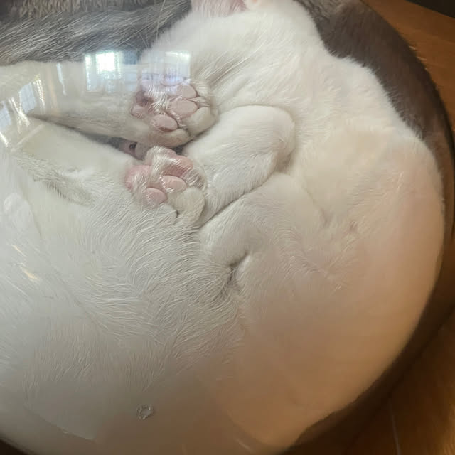 Rt_styleさんの部屋