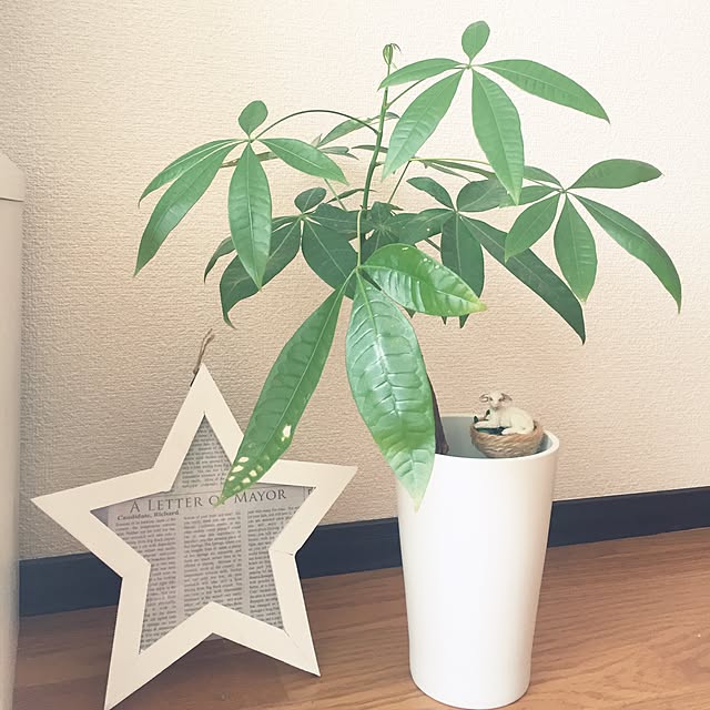 manaさんの実例写真