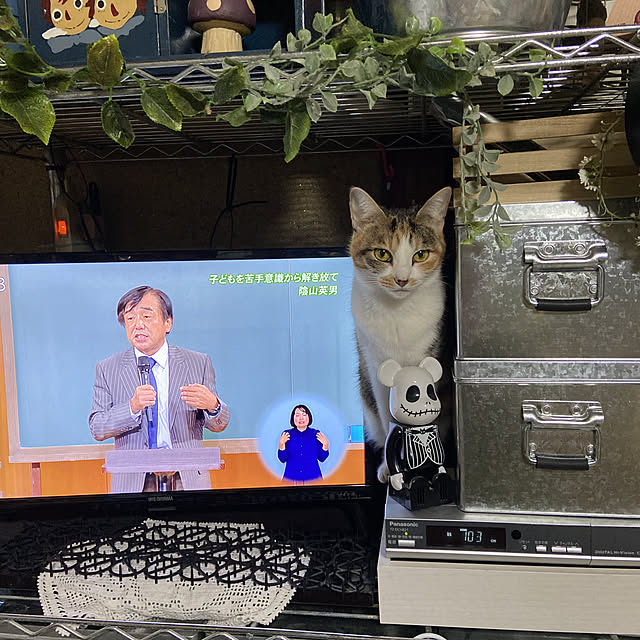 vivienne.coco-keiさんの実例写真