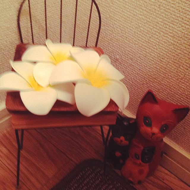 Makoさんの実例写真