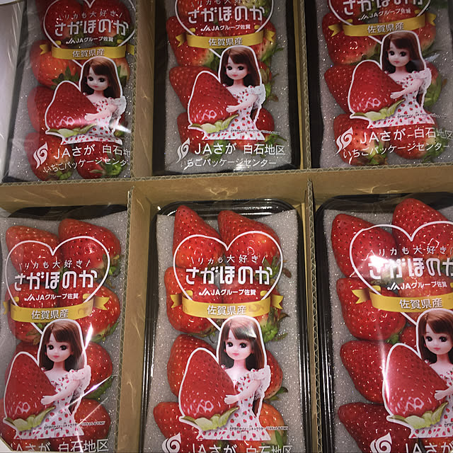 Ikomamaさんの実例写真