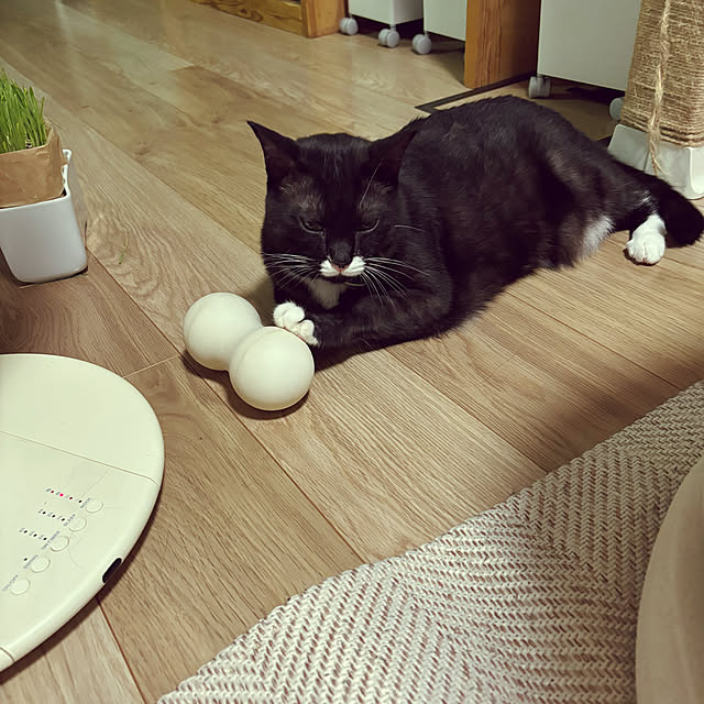 masamasaさんの部屋