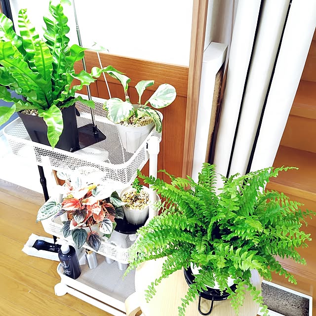 nachiさんの部屋