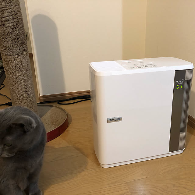 hajimechanさんの実例写真