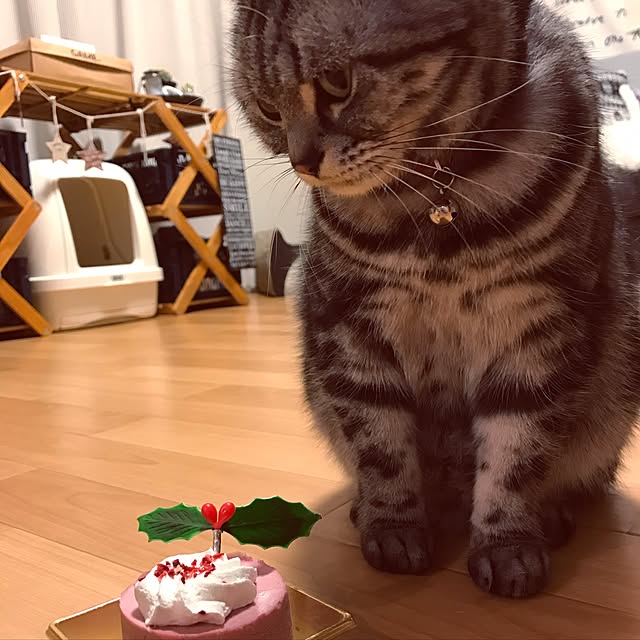 hiyupan88さんの実例写真