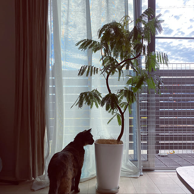 Hanaさんの実例写真