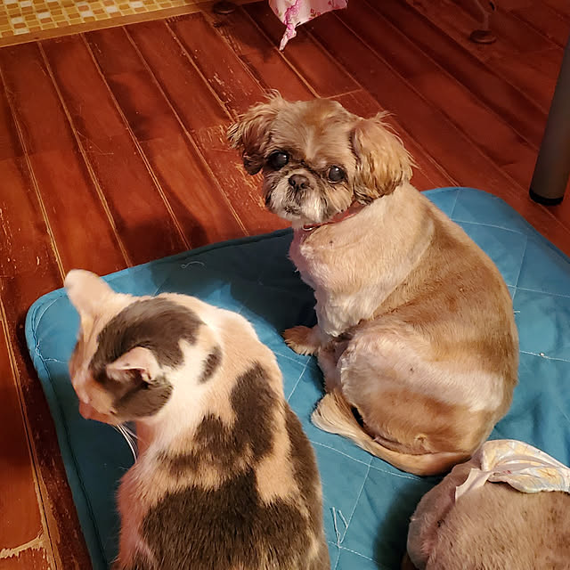 kumutanさんの実例写真