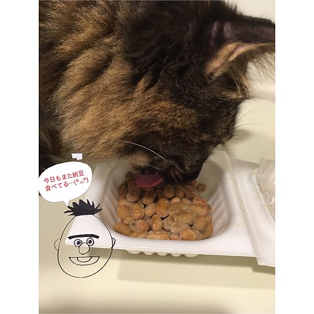 mikomaruさんの実例写真