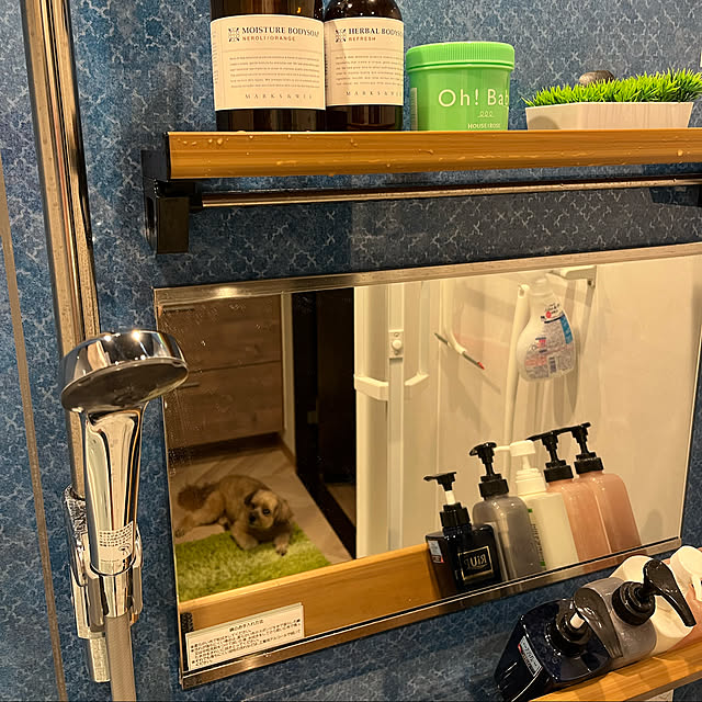 misoさんの実例写真
