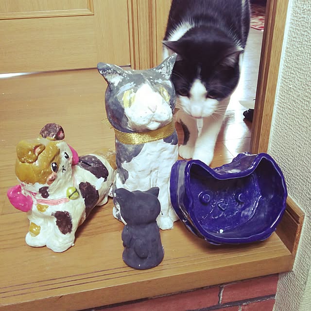 ekkoさんの実例写真