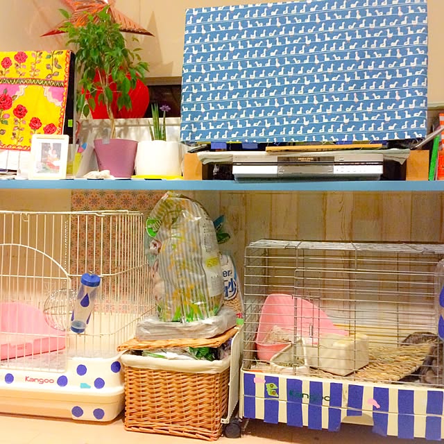 Arataさんの実例写真