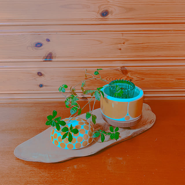 moonさんの部屋