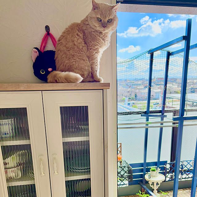 naokoさんの実例写真