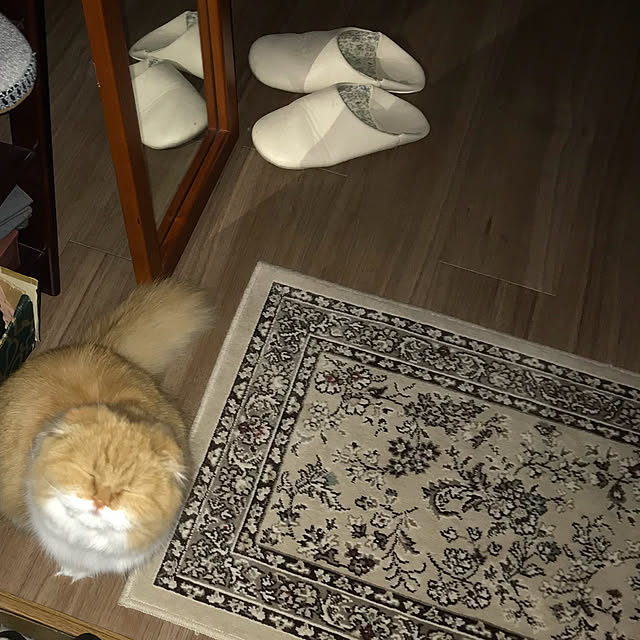 m.kantoh18_mikkoさんの実例写真
