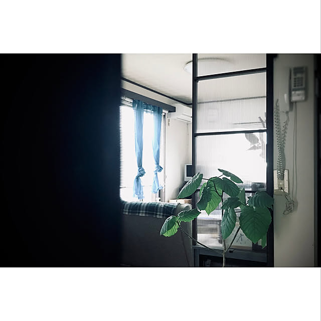 kao.320さんの実例写真