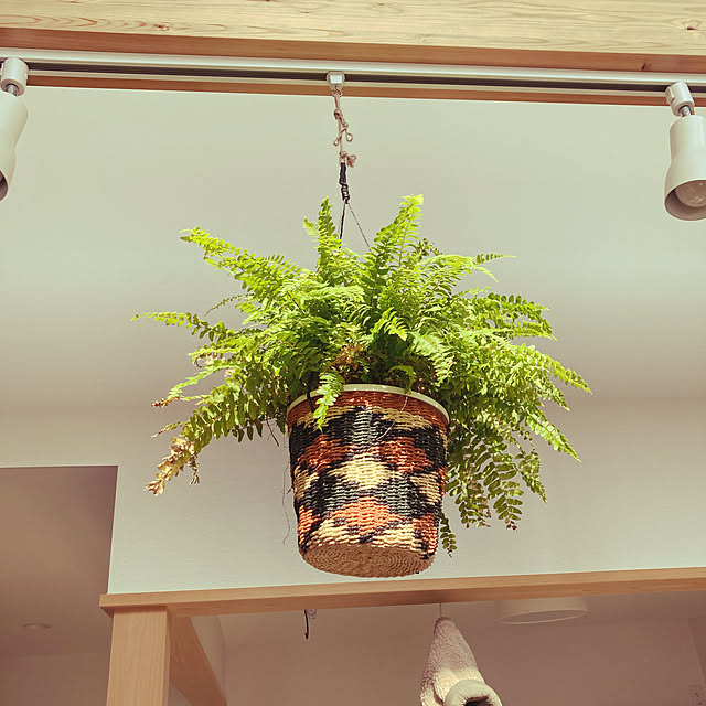 naga-sanさんの実例写真